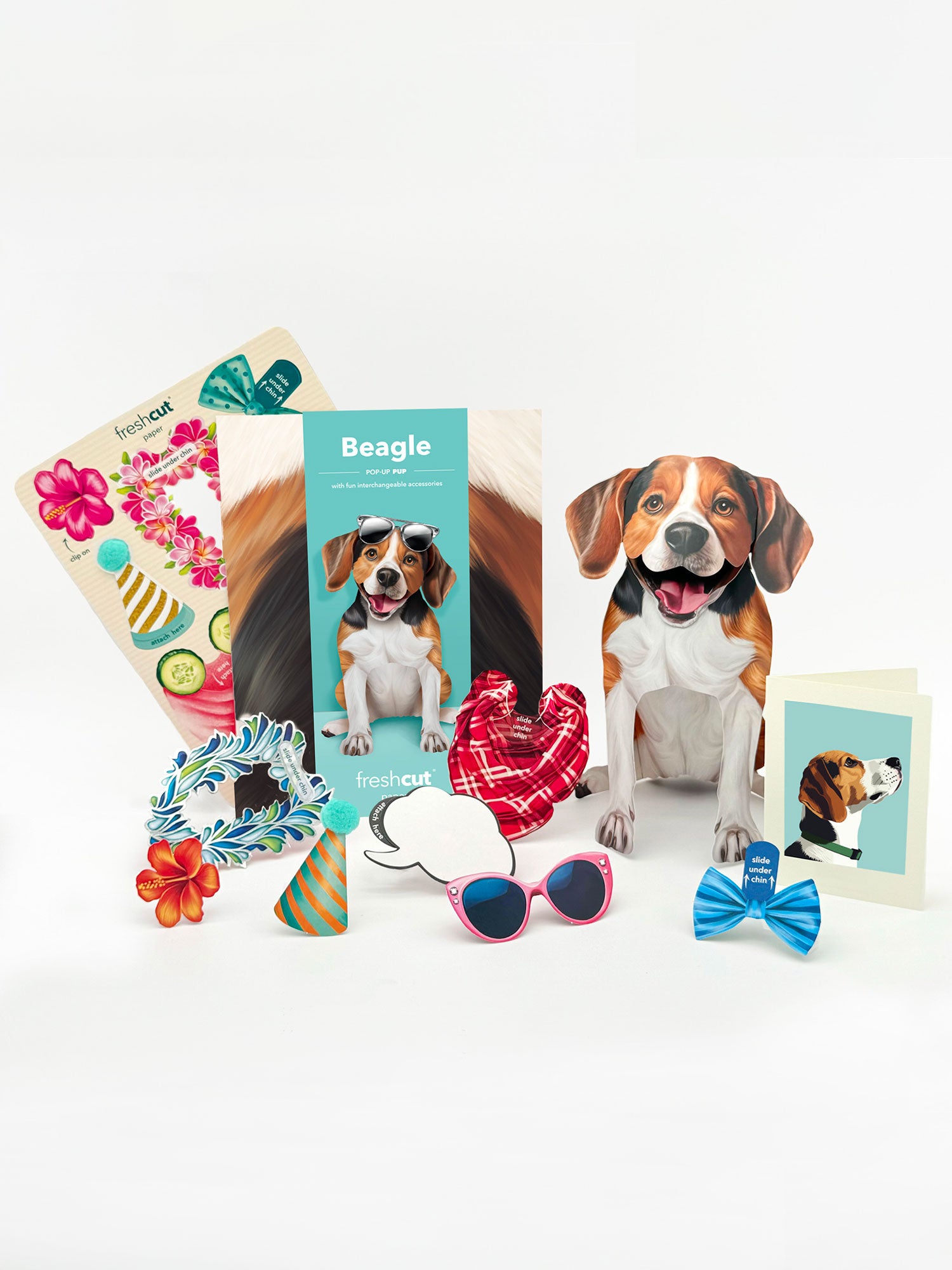 Beagle Pop-Up Pup  with accessories