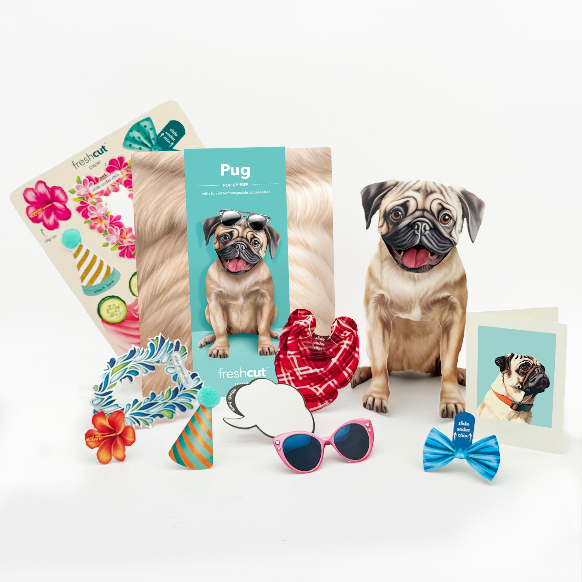 Pug Pop-Up Pup with accessories