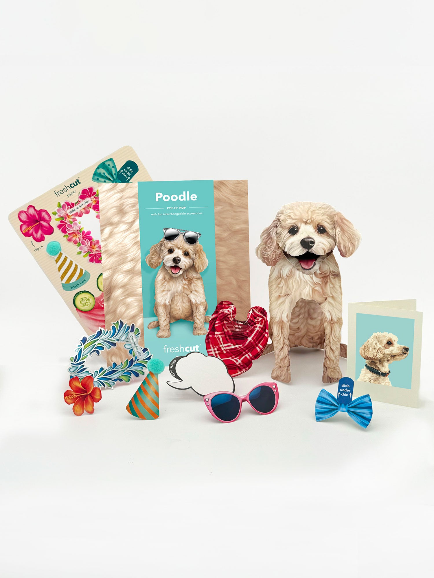 Poodle Pop-Up Pup with accessories