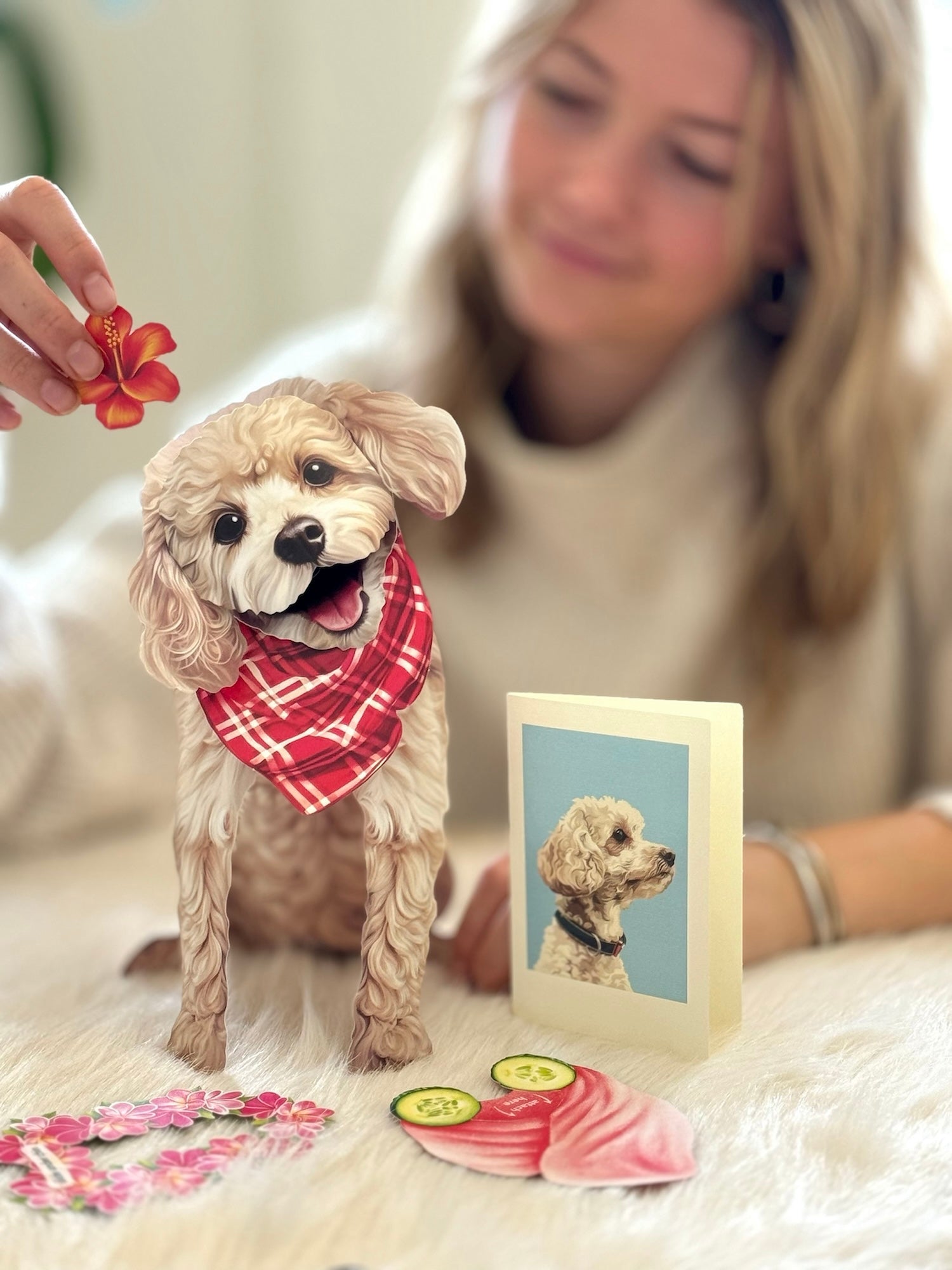 Poodle Pop-Up Pup with matching blank notecard and accessories