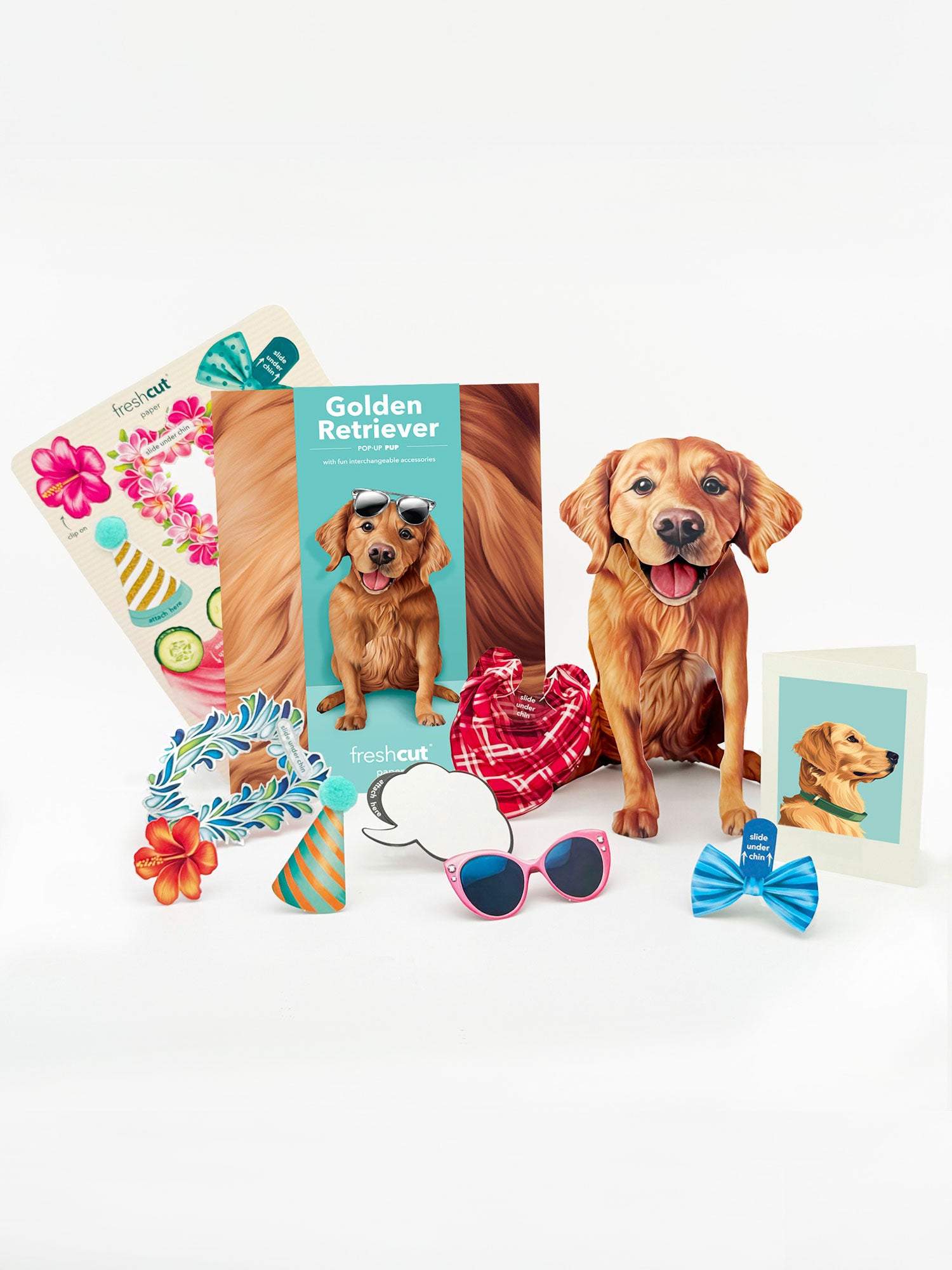 Golden Retriever Pop-Up Pup with accessories