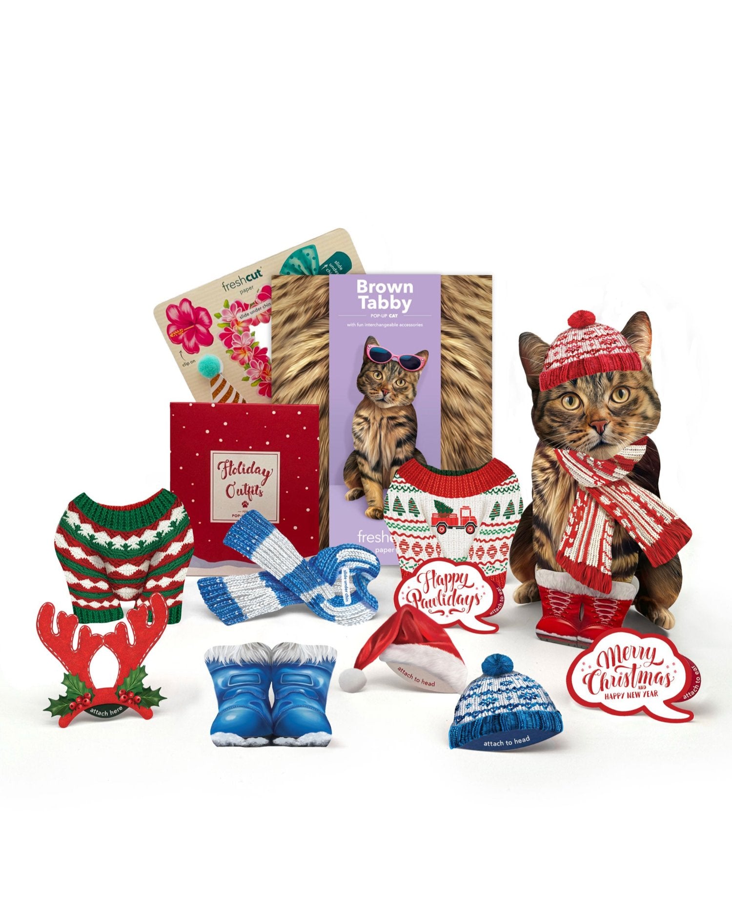 Brown Tabby Holiday Whats Included