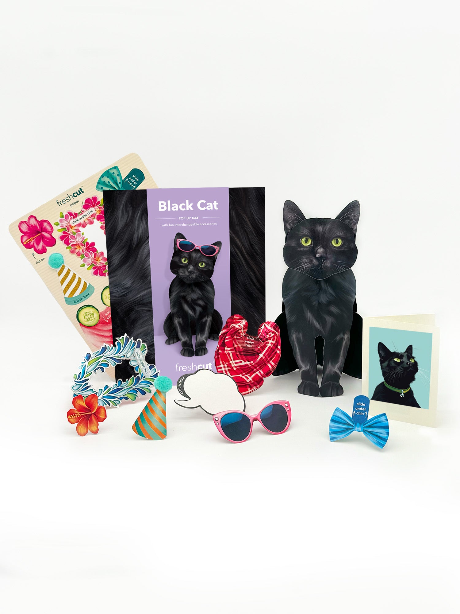 Black Pop-Up Cat with accessories and notecard