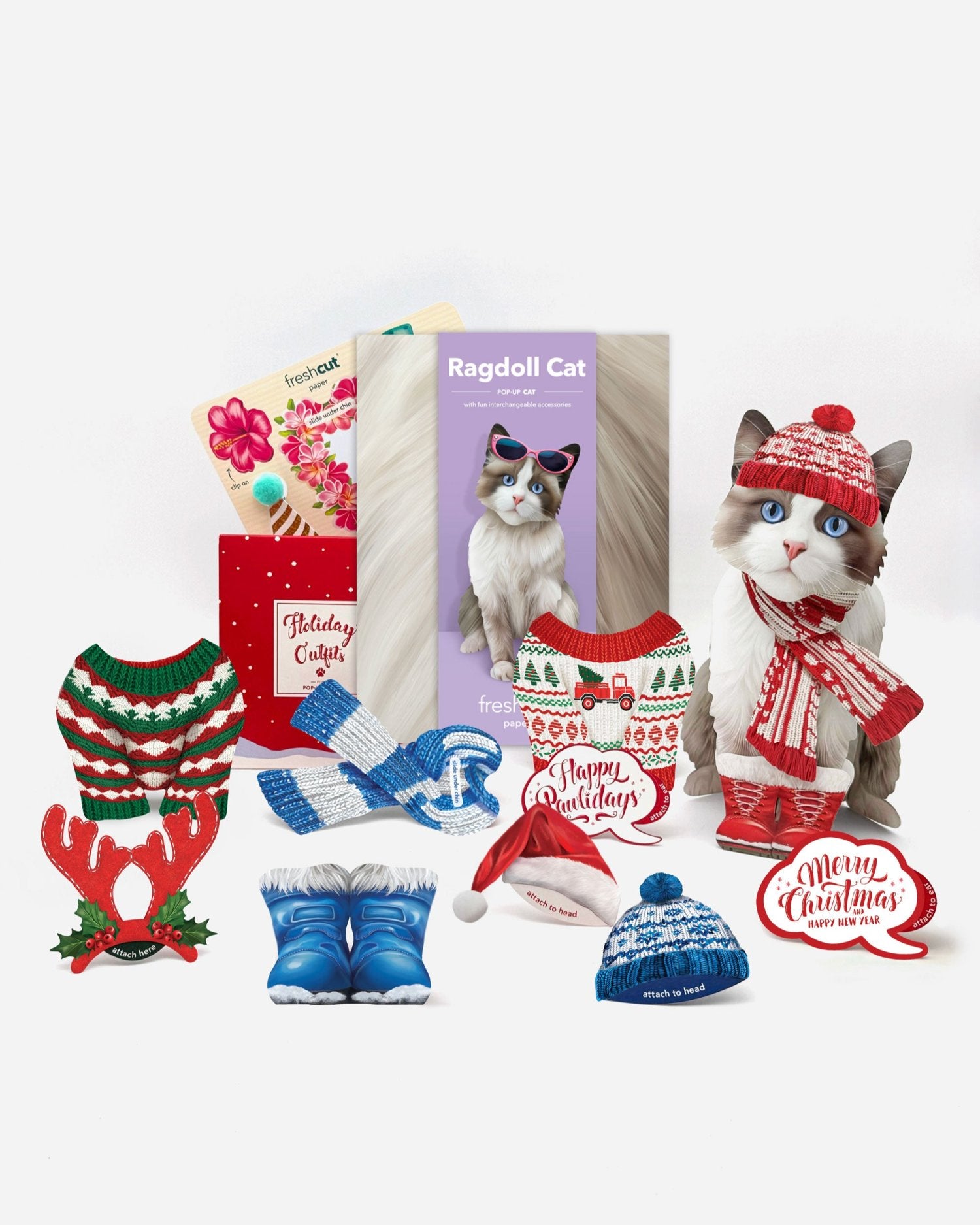 Ragdoll Cat Holiday Whats Included