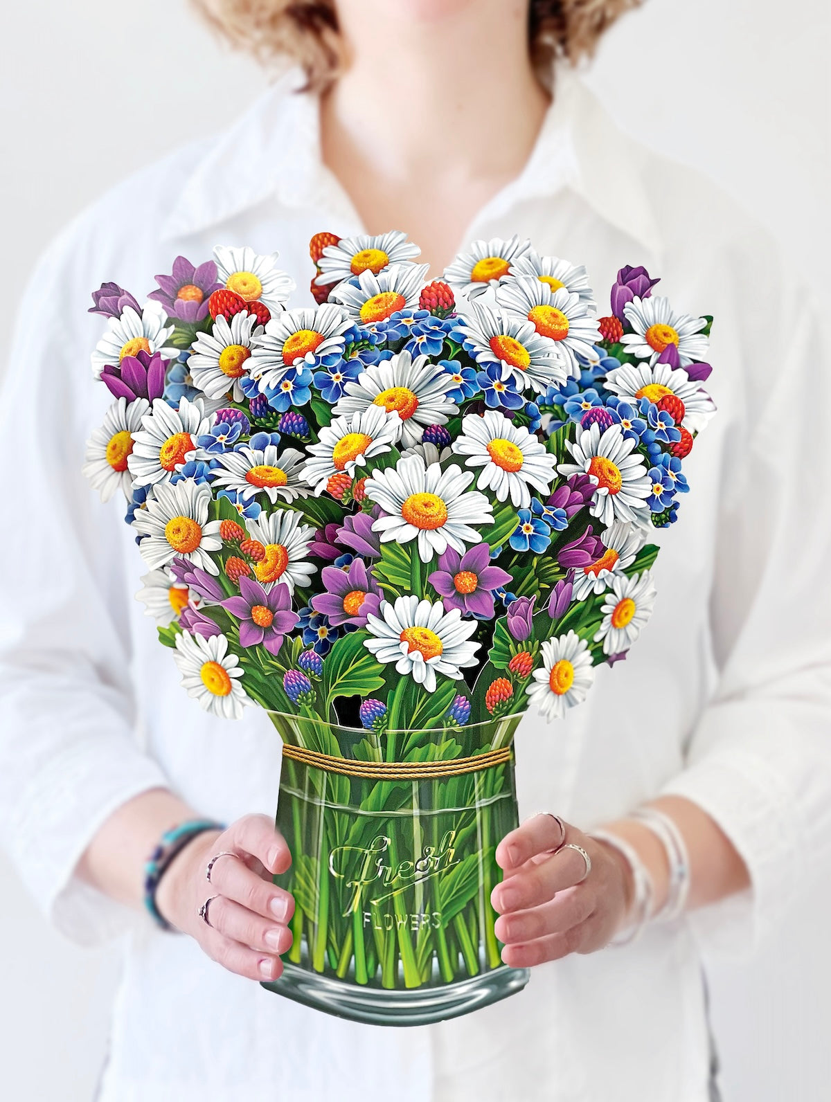 Field of Daises