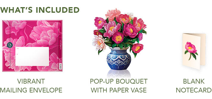 Peony Paradise
