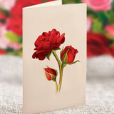 Blooming Roses