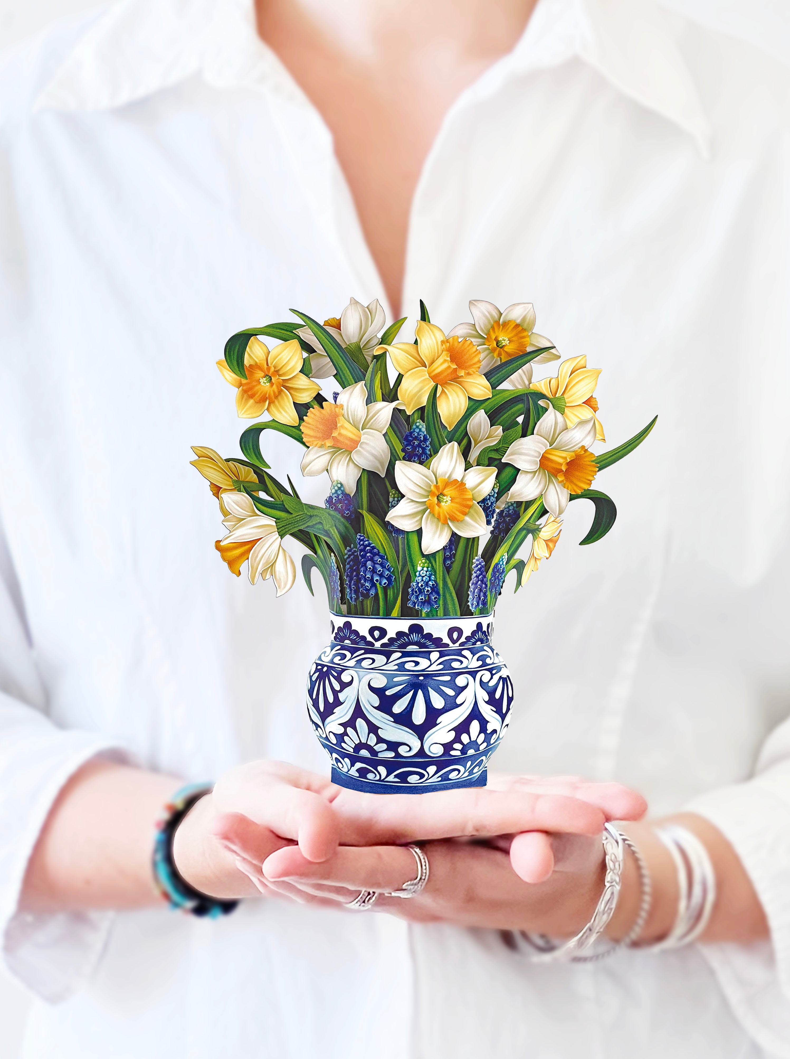 Mini English Daffodils