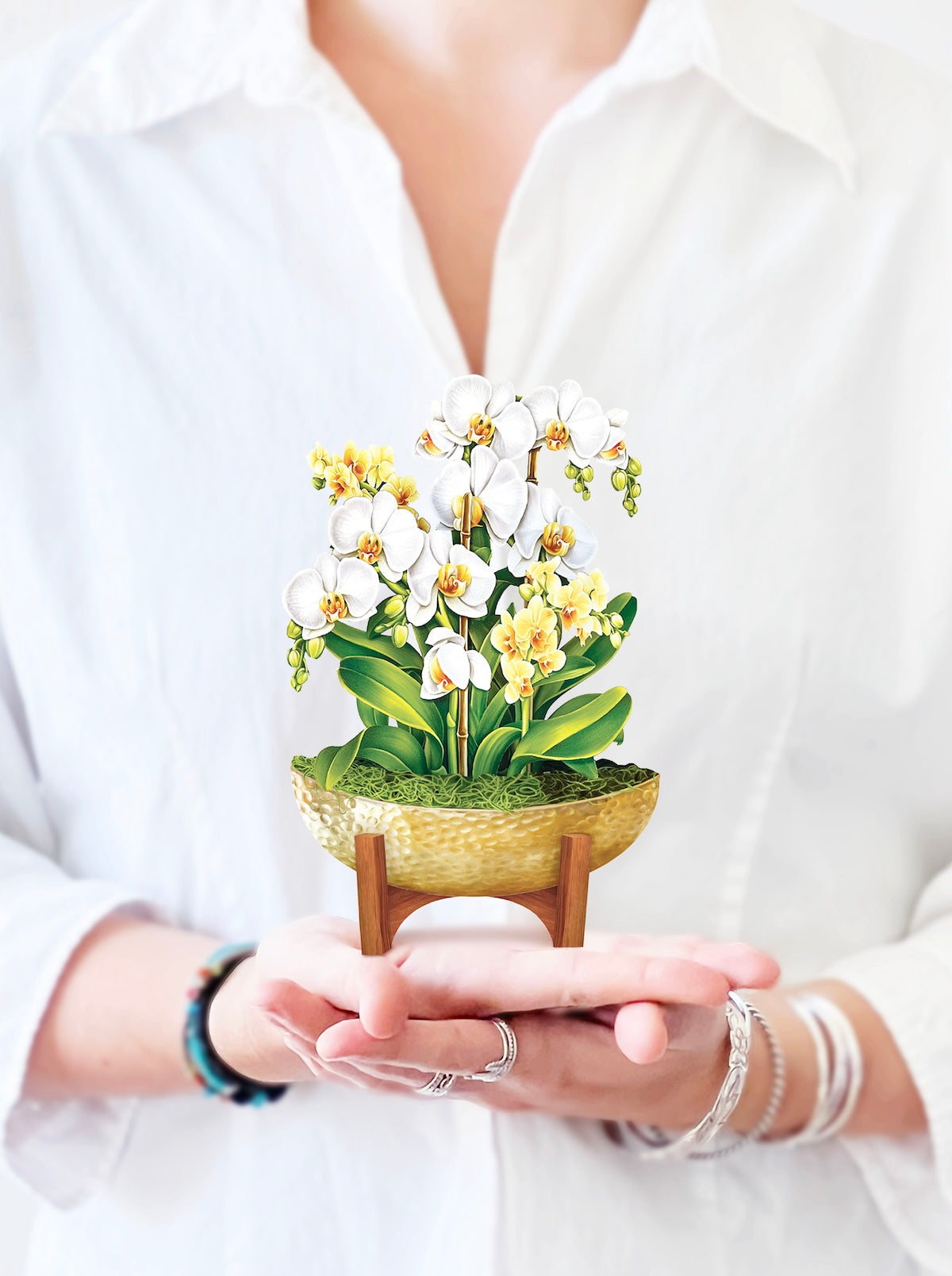 Mini Serenity Orchid - FreshCut Paper