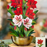 Holiday Essentials Bundle